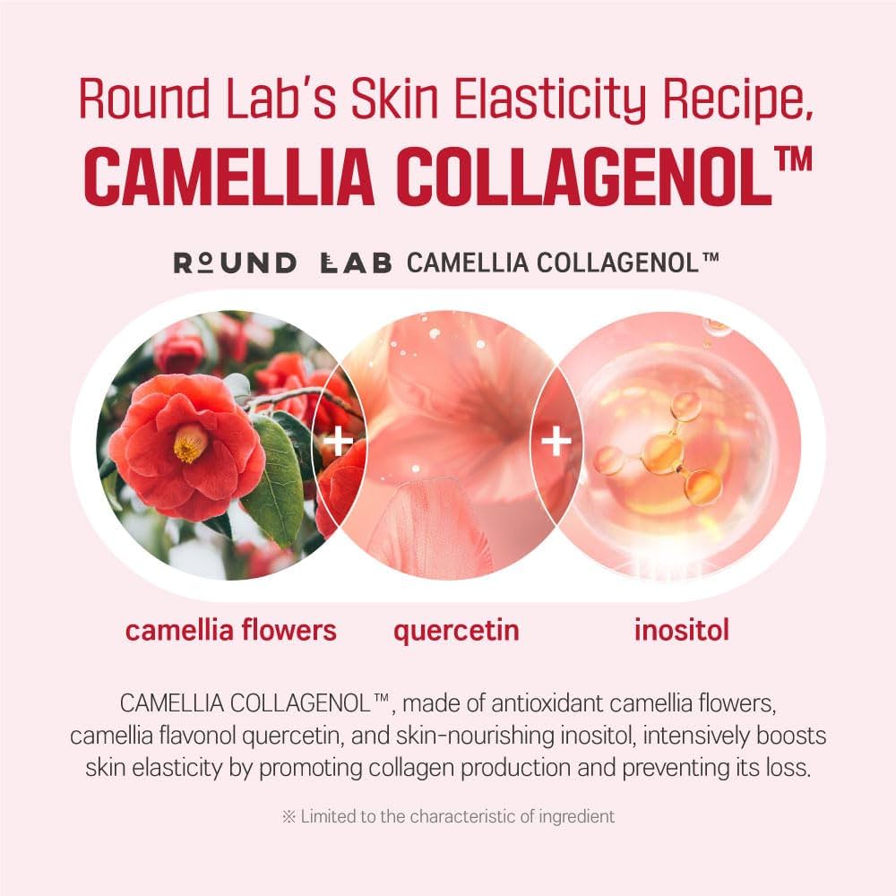 Round Lab Camellia Deep Collagen Firming Ampoule - TokTok Beauty