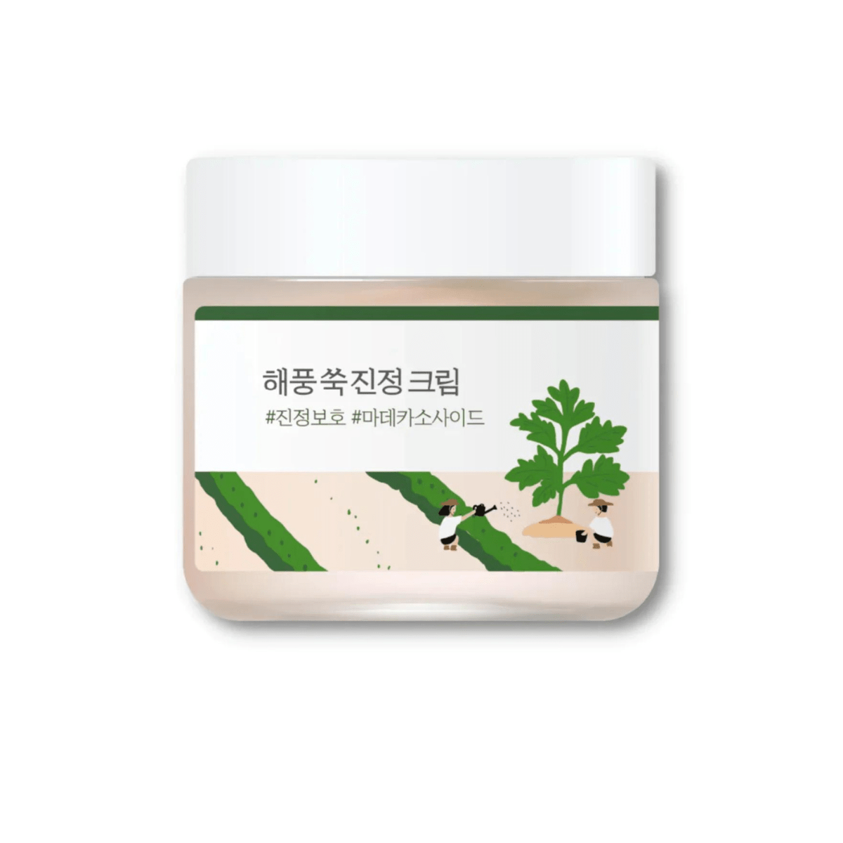 Round Lab Mugwort Calming Cream - TokTok Beauty