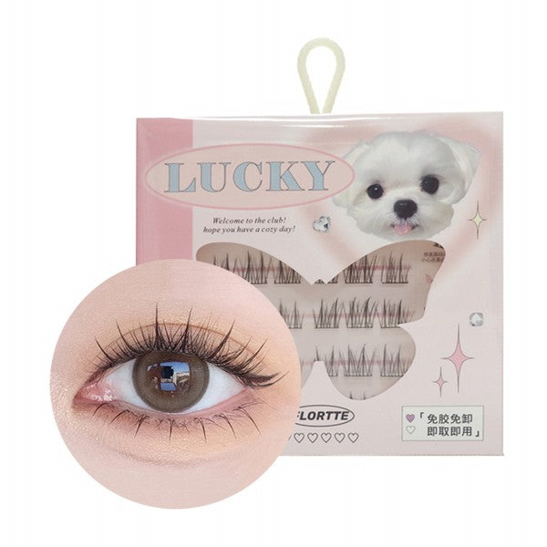 FLORTTE False Eyelashes [#Sunflower] - TokTok Beauty