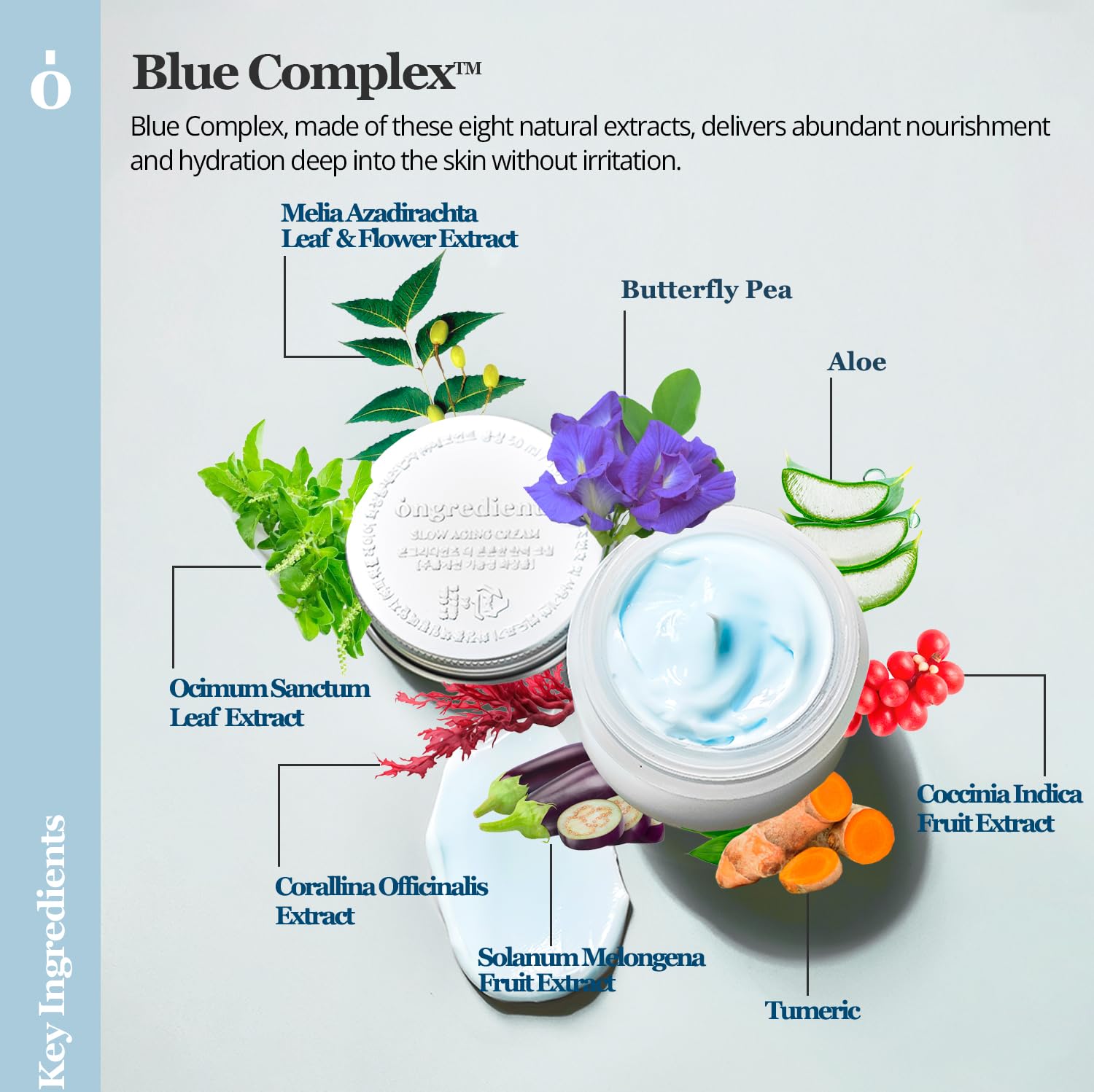 Slow Aging Cream