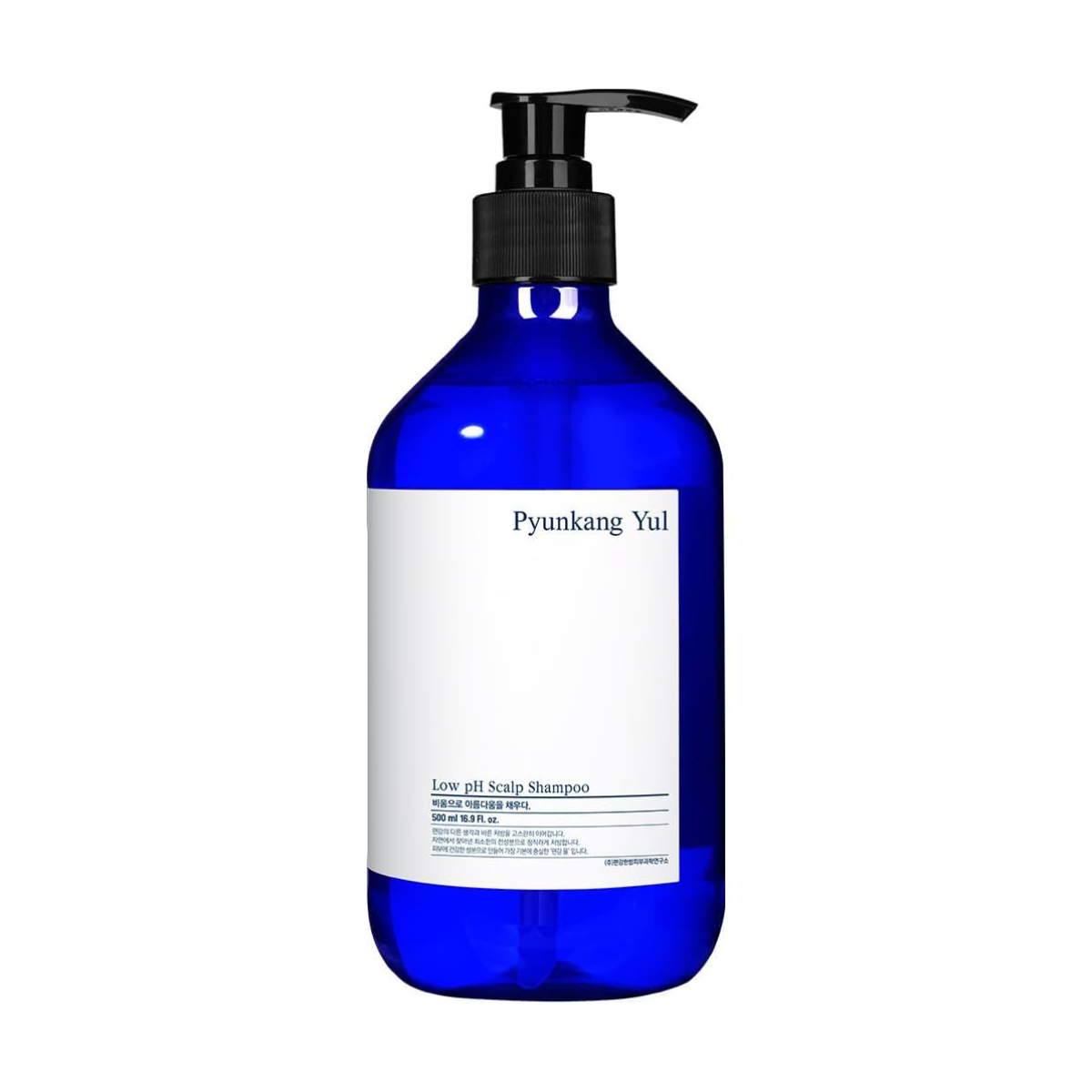 Pyunkang Yul Low pH Scalp Shampoo - TokTok Beauty