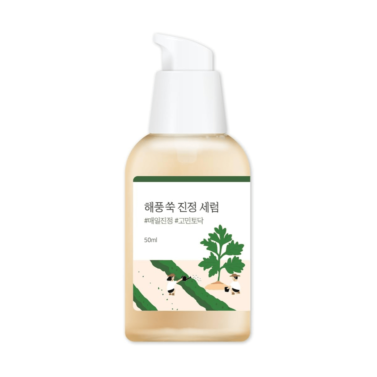 Round Lab Mugwort Calming Serum - TokTok Beauty
